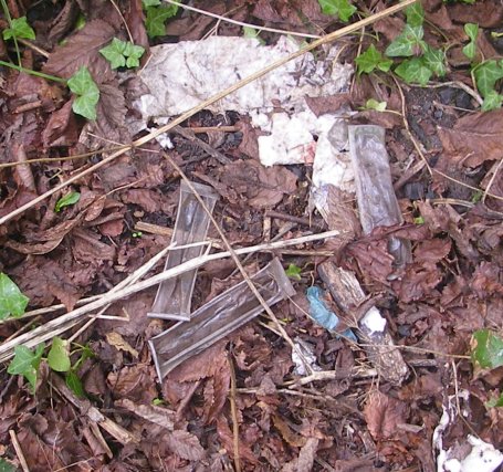 Needles lying in the grounds of St Mary's church Needles lying in the grounds of St Mary's church
